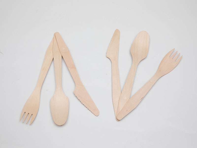 Eco Disposable Tableware